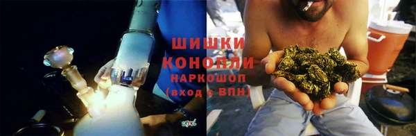 гидра Волоколамск