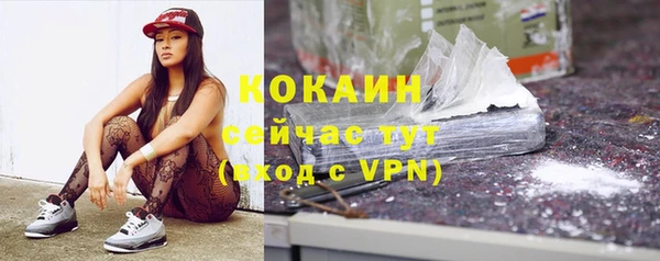 гидра Волоколамск