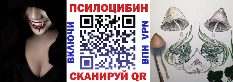 OMG вход  Вытегра  Галлюциногенные грибы мицелий 